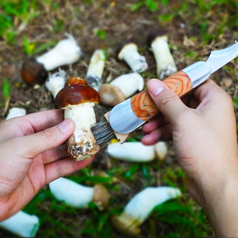 Coowolf Mushroom Knife with Brush and Sheath, Curved Stainless Steel Blade, Hardwood Handle, 7.06 Inch Folding Design, for Morels, Porcini, Chanterelles, Foraging Mushroom Gifts - Image 3